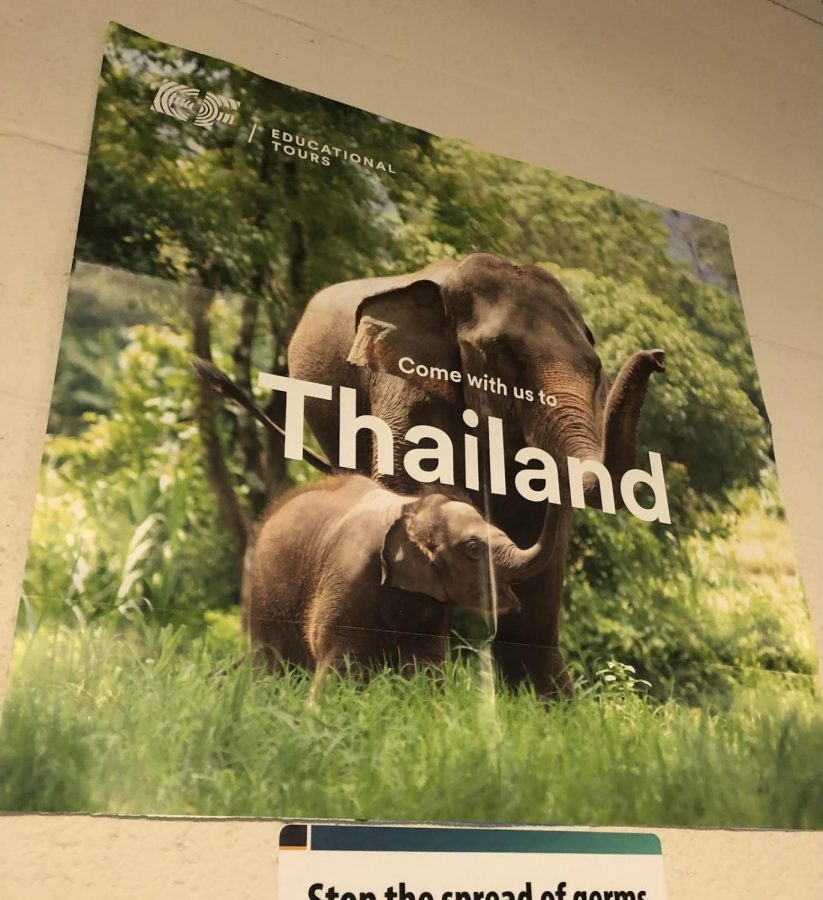 Thailand poster outside Mrs. Sweeney’s room. Photo taken by Francesca Rossini