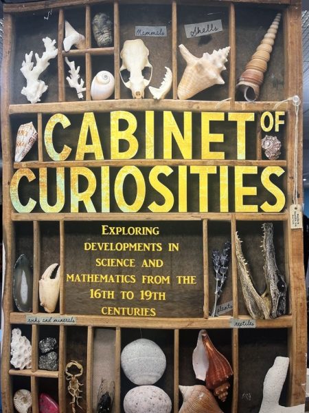 The AP World History Teachers Put Together the 11th Exhibit of The Cabinet of Curiosities