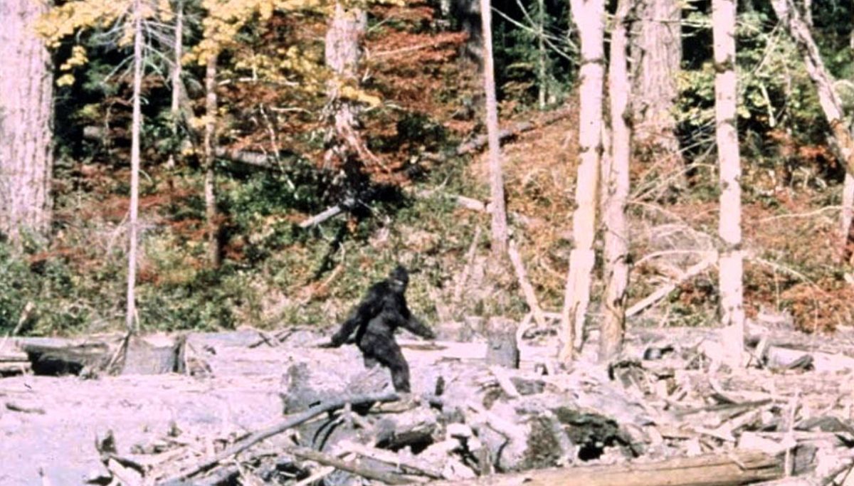 Photo Credit to https://en.wikipedia.org/wiki/Bigfoot?scrlybrkr=26156fa8 
