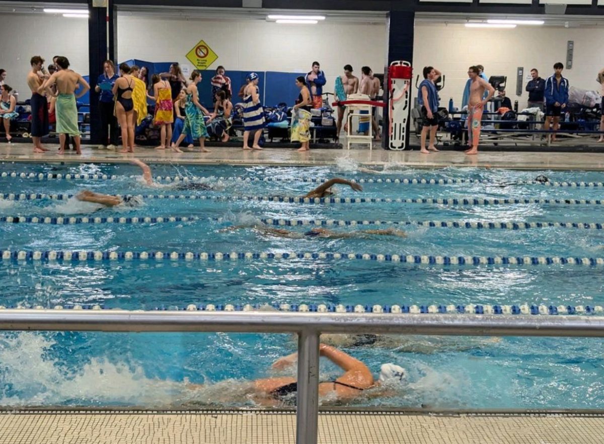 MT Swim Defeats Elizabethtown (Photos)