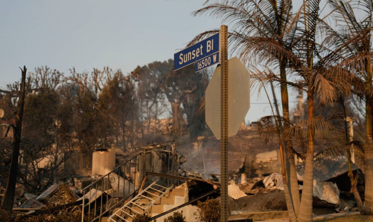 Image credit to https://www.freemalaysiatoday.com/category/business/2025/01/11/devastating-la-fires-expected-to-push-up-insurance-premiums/
