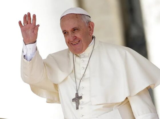 Pope Francis, Saint Peter's Square, Vatican City - 27 August 2014
