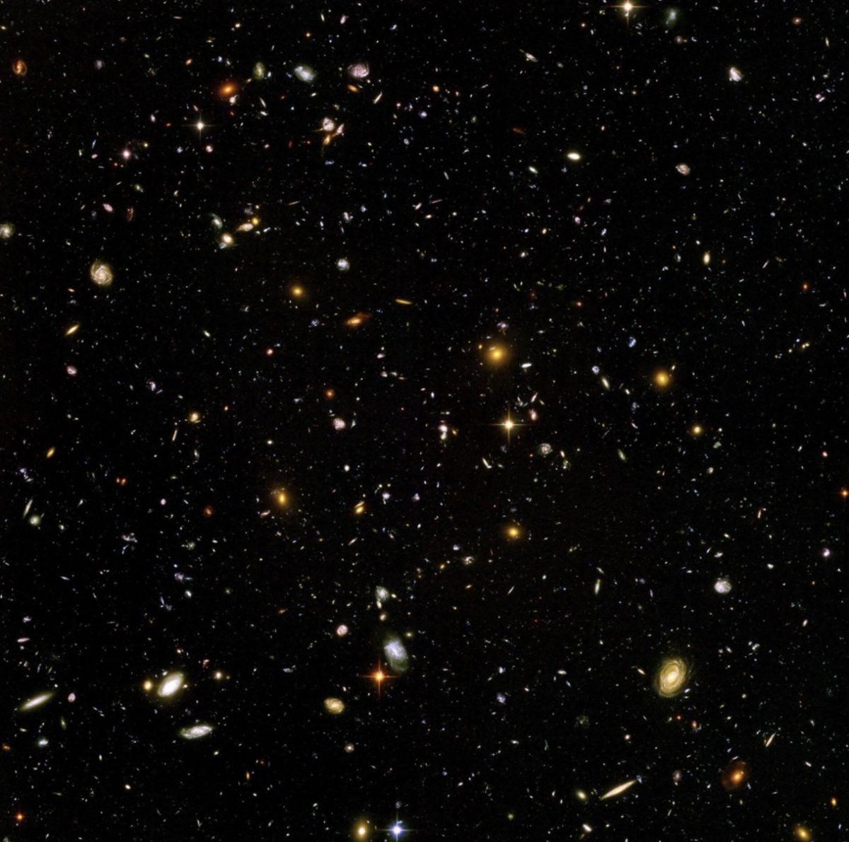 Image Credit: https://tinyurl.com/4tmjynm2